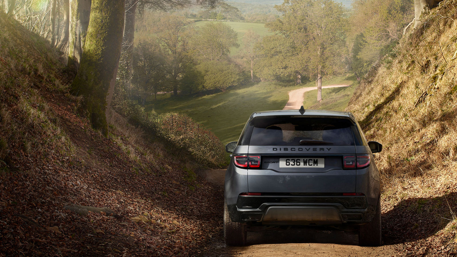 Discovery Sport em terreno natural