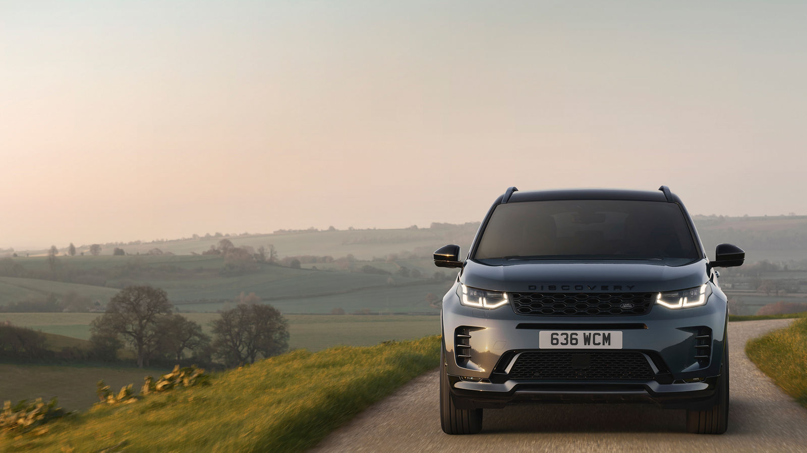 Discovery Sport Landmark em uma estrada